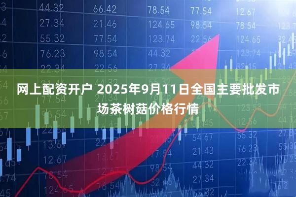 网上配资开户 2025年9月11日全国主要批发市场茶树菇价格行情