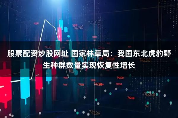 股票配资炒股网址 国家林草局：我国东北虎豹野生种群数量实现恢复性增长