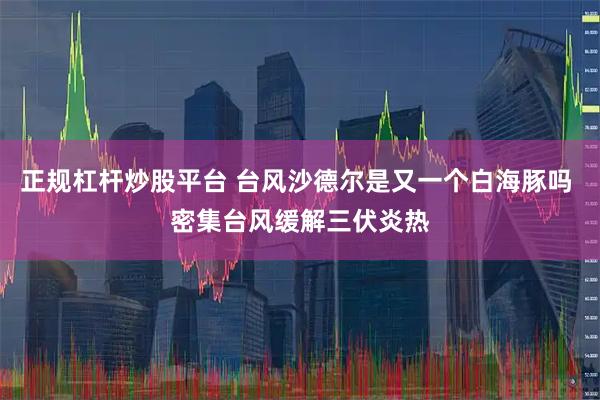 正规杠杆炒股平台 台风沙德尔是又一个白海豚吗 密集台风缓解三伏炎热